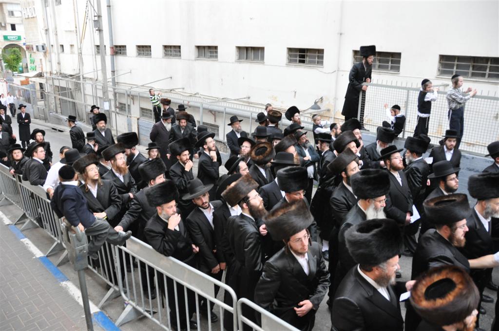 חתונת "בית אלכסנדר": וידאו, תמונות