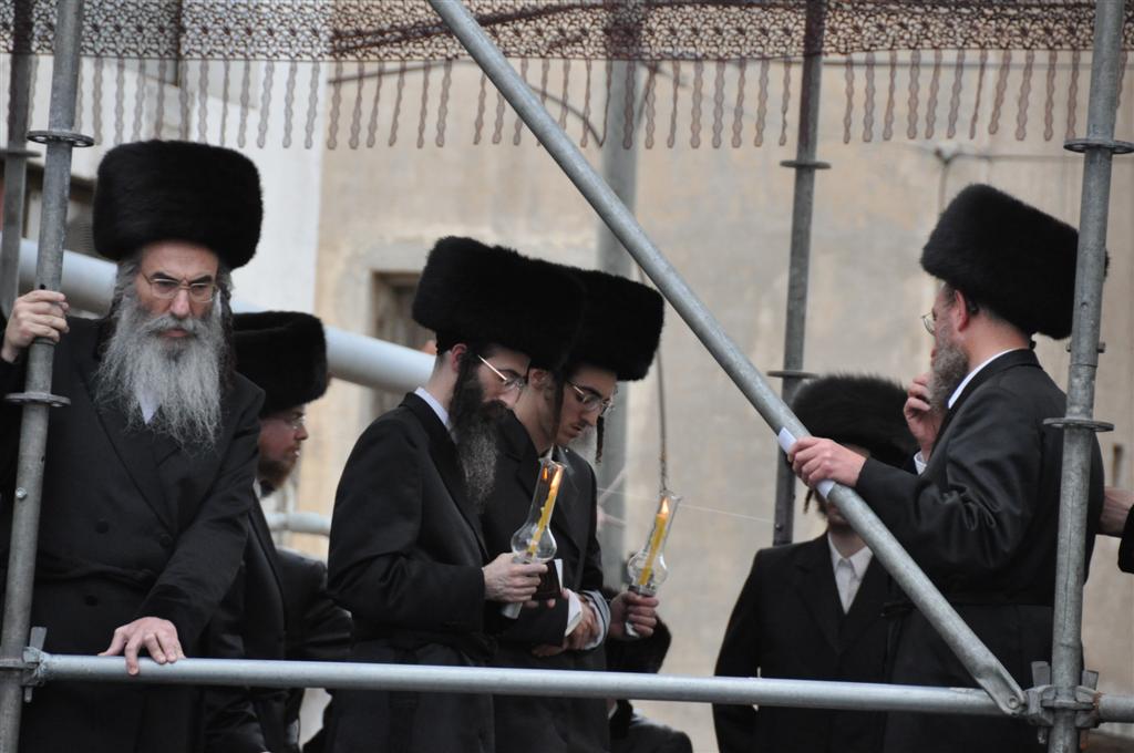 חתונת "בית אלכסנדר": וידאו, תמונות