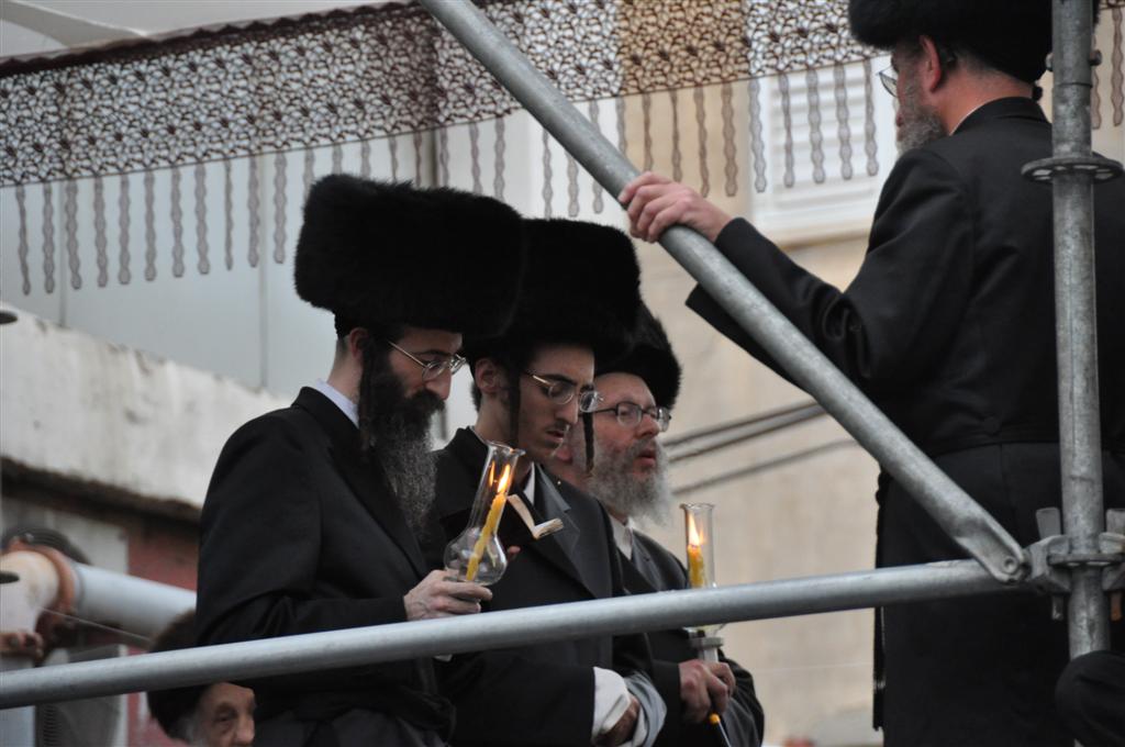 חתונת "בית אלכסנדר": וידאו, תמונות