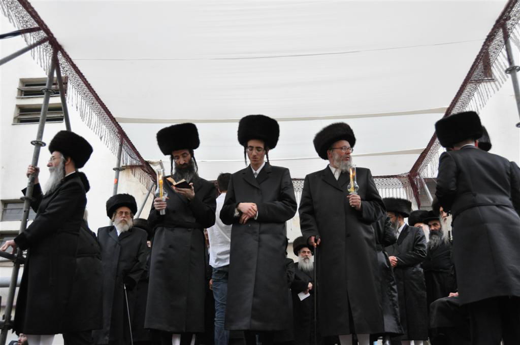 חתונת "בית אלכסנדר": וידאו, תמונות