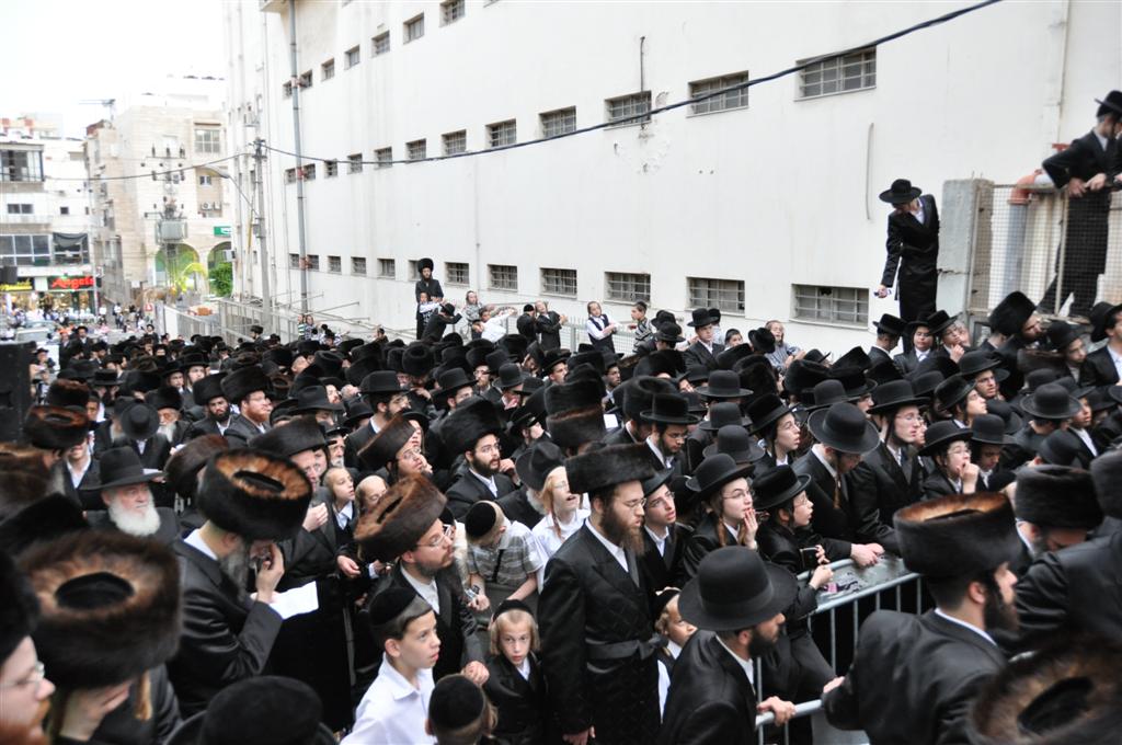 חתונת "בית אלכסנדר": וידאו, תמונות