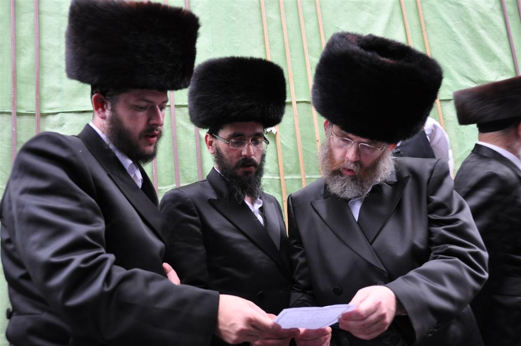 חתונת "בית אלכסנדר": וידאו, תמונות