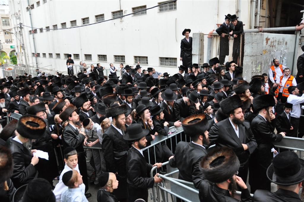 חתונת "בית אלכסנדר": וידאו, תמונות