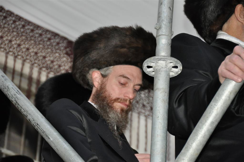 חתונת "בית אלכסנדר": וידאו, תמונות