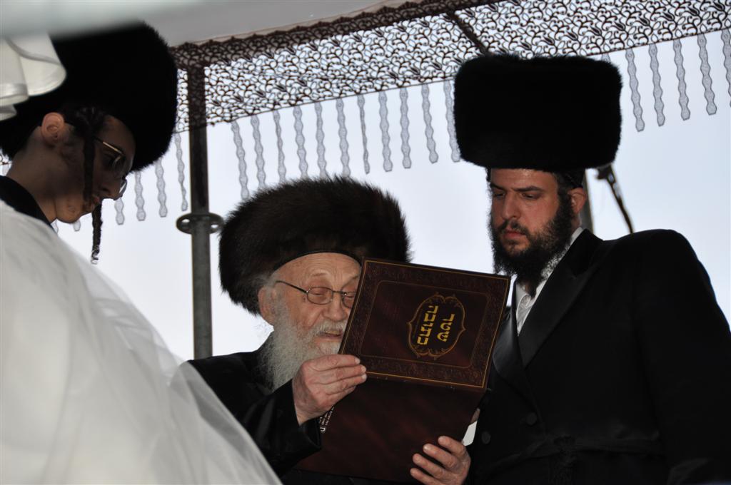 חתונת "בית אלכסנדר": וידאו, תמונות