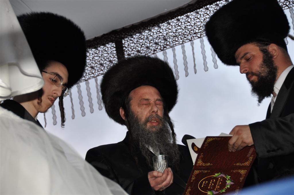 חתונת "בית אלכסנדר": וידאו, תמונות