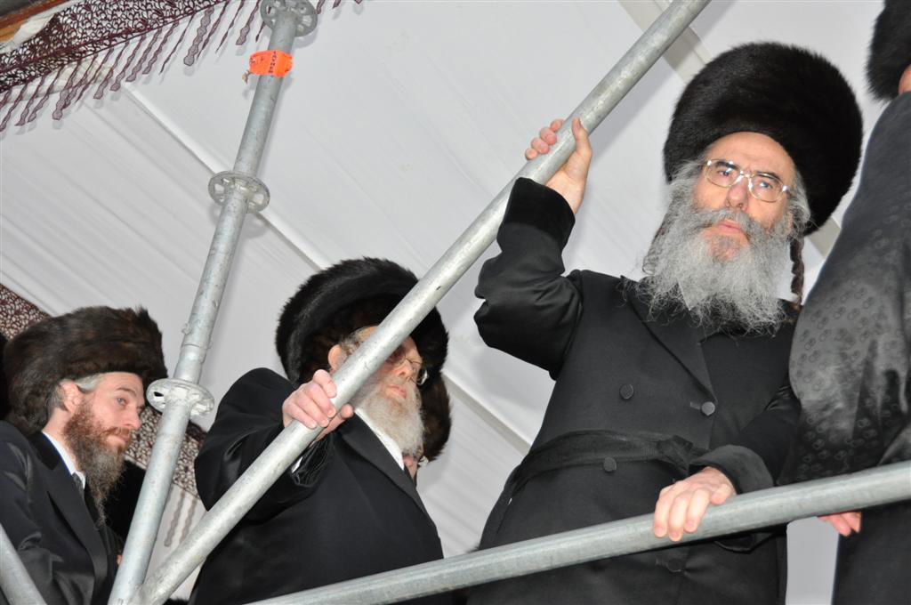 חתונת "בית אלכסנדר": וידאו, תמונות