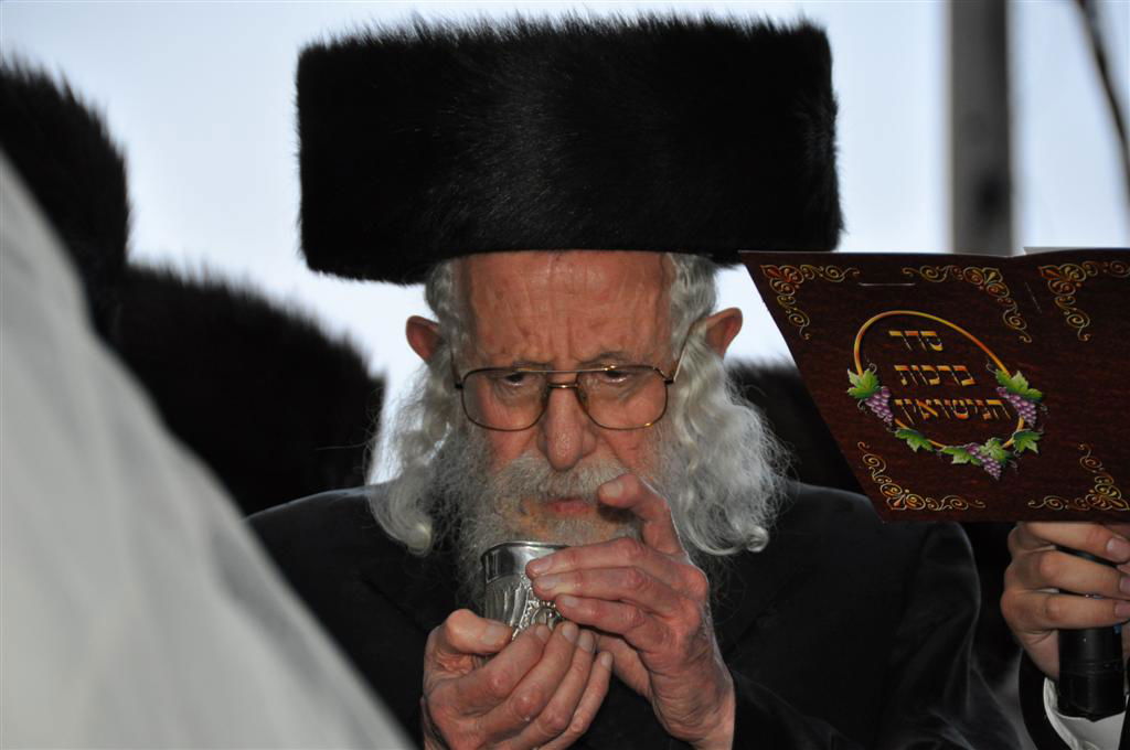 חתונת "בית אלכסנדר": וידאו, תמונות