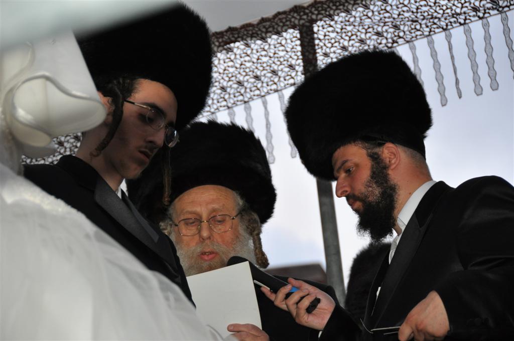 חתונת "בית אלכסנדר": וידאו, תמונות