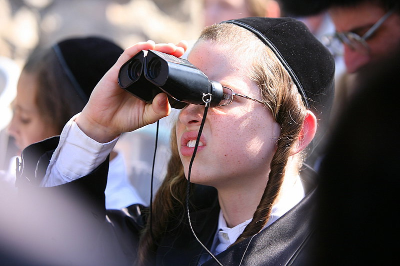 תיעוד מרהיב: חתונת נכדת כ"ק האדמו"ר מגור שליט"א