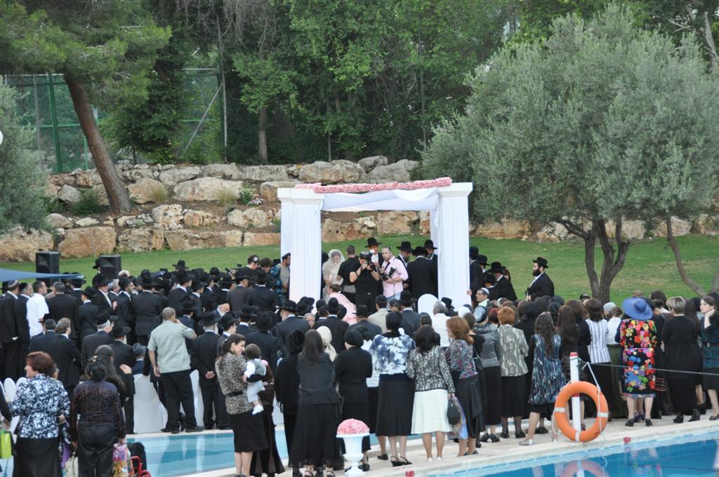 שמחת דרעי: כולם היו שם. תיעוד ענק