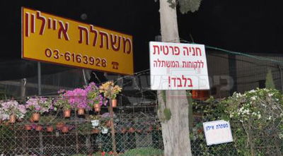 משתלת איילון