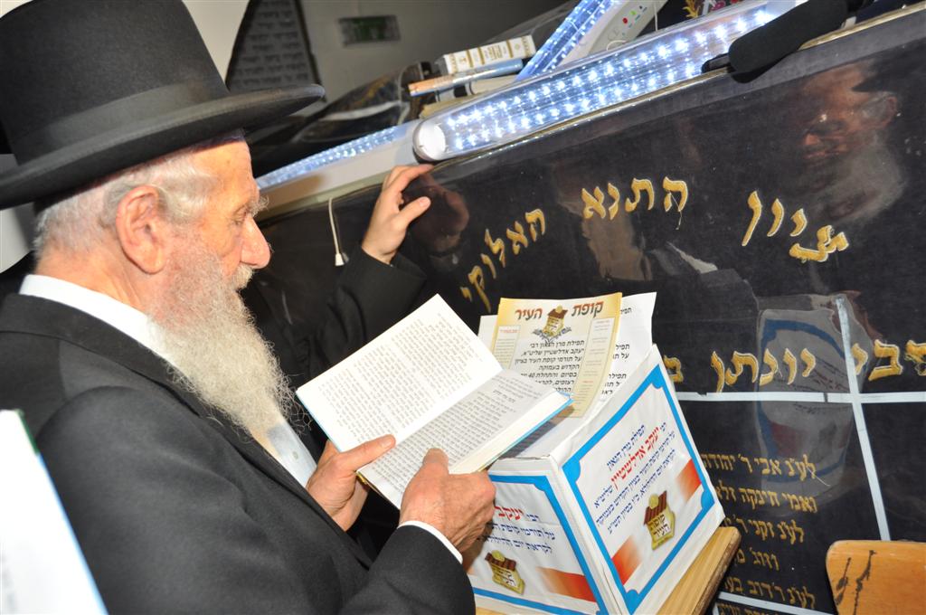 גלריה: היום בעמוקה, בקרוב אצלך