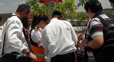 מטפלים בנפגעות, היום