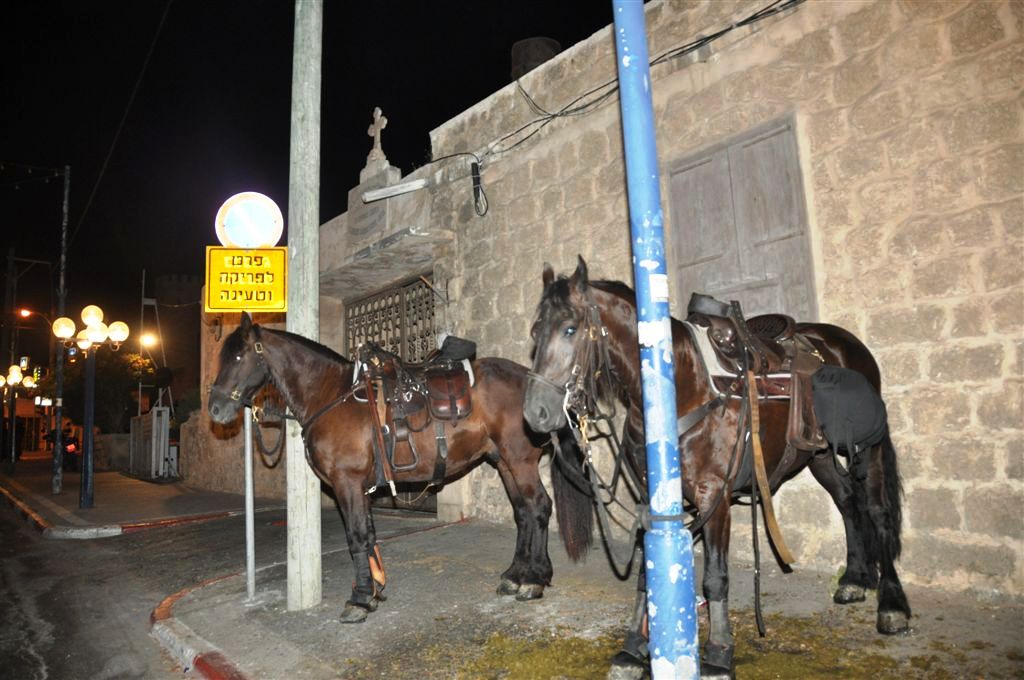 הפגנות מסביב לשעון: יפו סוערת - מעכשיו גם בלילה