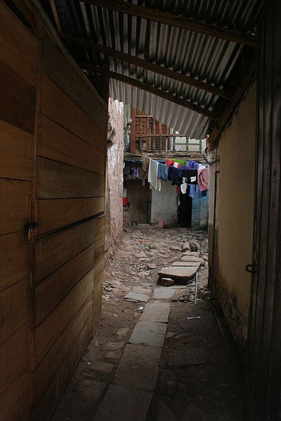 אלפסי בעולם: חלקת אלוקים בקוסקו, פרו