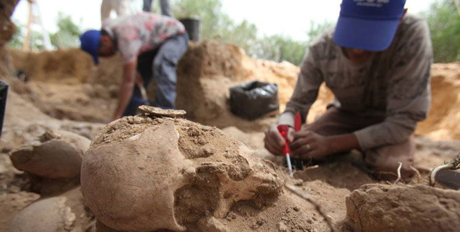 החפירות בברזילי