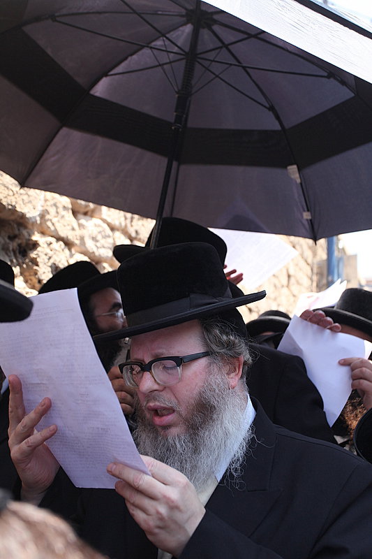 ישראל מחללת קברי אבות; האדמו"רים צפו ומחו דמעה