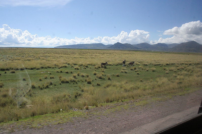 אלפסי בעולם: "עמק הירח" בבוליביה