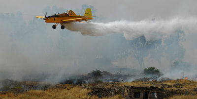 אילוסטרציה