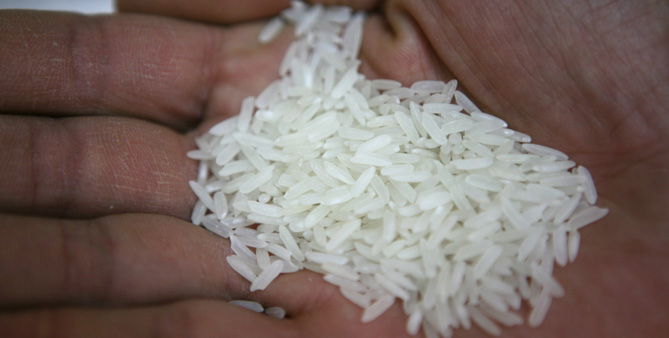 שידוכים: סיפורו של בררן סדרתי