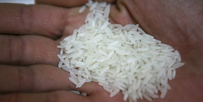 שידוכים: סיפורו של בררן סדרתי