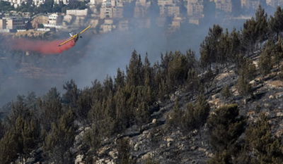 השריפה אתמול