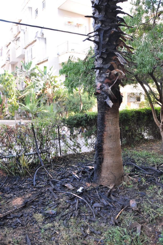 וידאו, תמונות: ילדי בני-ברק שיחקו באש ושרפו דירה