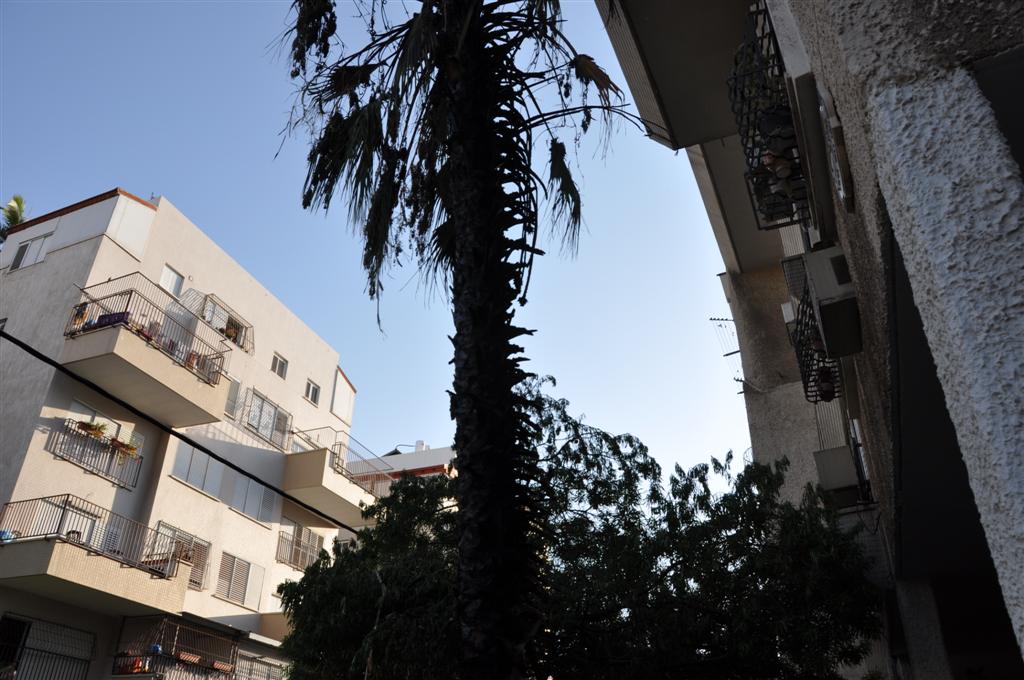 וידאו, תמונות: ילדי בני-ברק שיחקו באש ושרפו דירה