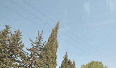 ישראל, היום