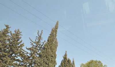 ישראל, היום