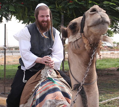 כיכר היום: בין הזמנים במצדה