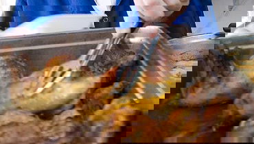 מתכון השבת: עוף אפוי במשמשים