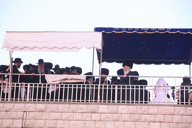 החסידים הנרגשים איחלו: "רב´ה, מזל-טוב, מזל-טוב"