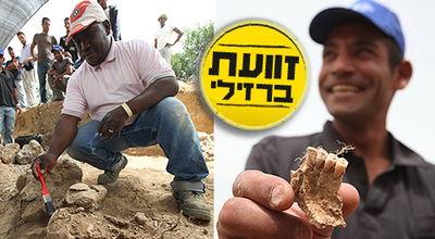 "דוברת ברזילי משקרת. אין אלימות במתחם החפירות"