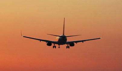 בדרך לציונו של הפלא יועץ: אילי ההון עוכבו בנתב"ג