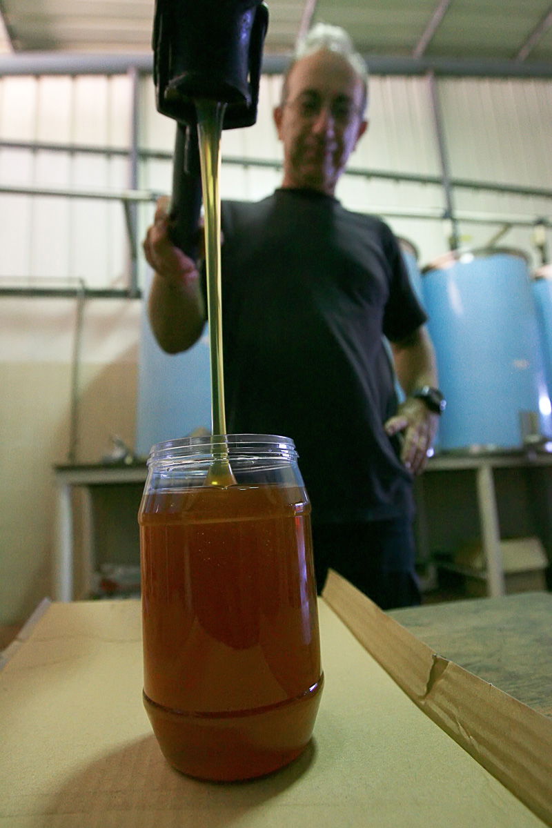 כיכר היום: הדבש והעוקץ