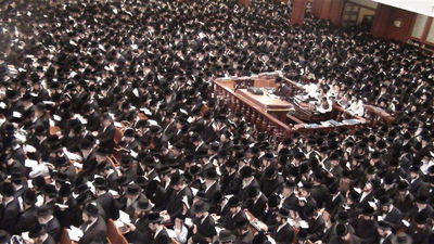 "לשמוע אל הרינה": אלפים באמירת הסליחות בבעלזא