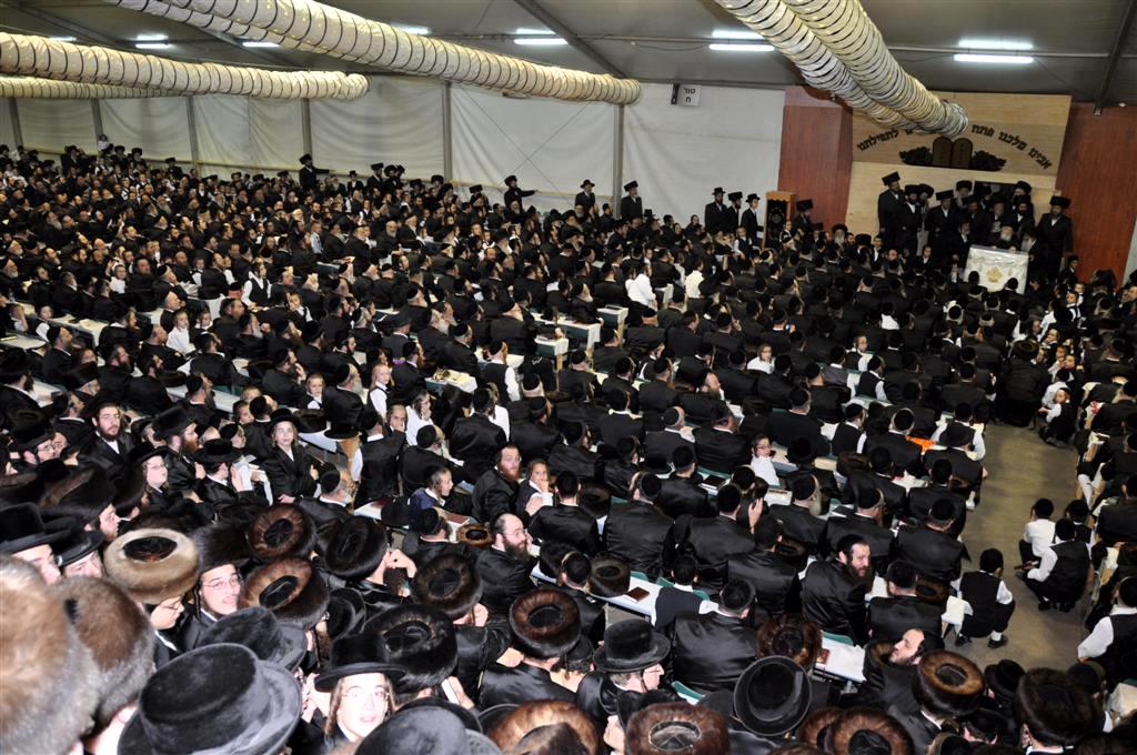 התרגשות בויזניץ: האדמו"ר נכח במעמד סליחות