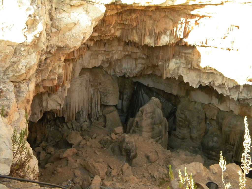 התרגיל של נאות הפסגה: העיתונאים נפלו בפח • צפו