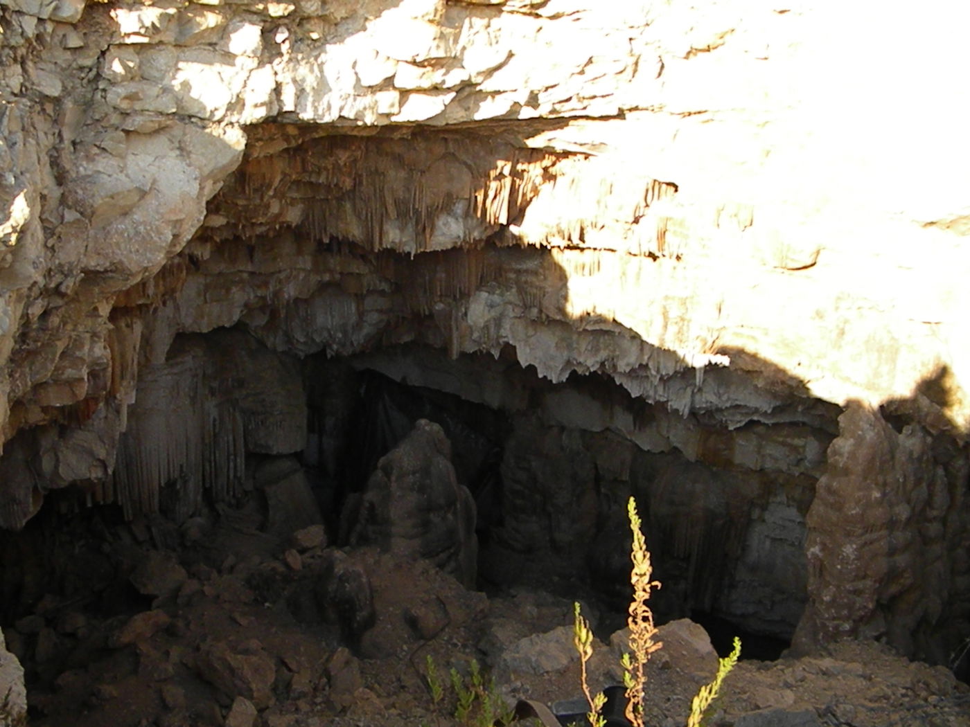 התרגיל של נאות הפסגה: העיתונאים נפלו בפח • צפו