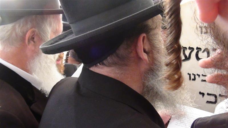 בניו, האדמו"רים, עלו לקבר בהר-הזיתים ● תיעוד מיוחד