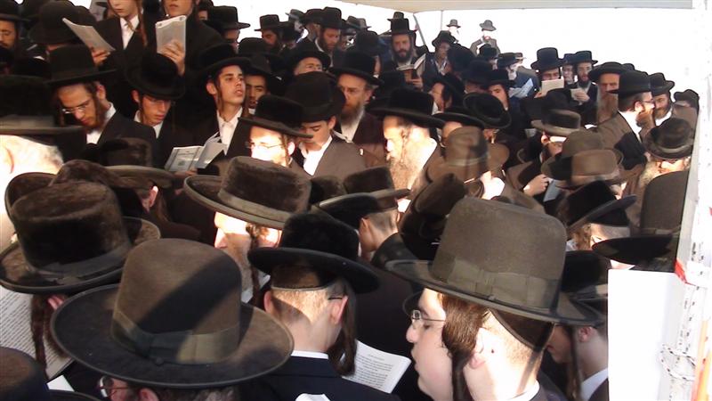 בניו, האדמו"רים, עלו לקבר בהר-הזיתים ● תיעוד מיוחד