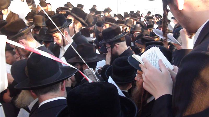 בניו, האדמו"רים, עלו לקבר בהר-הזיתים ● תיעוד מיוחד