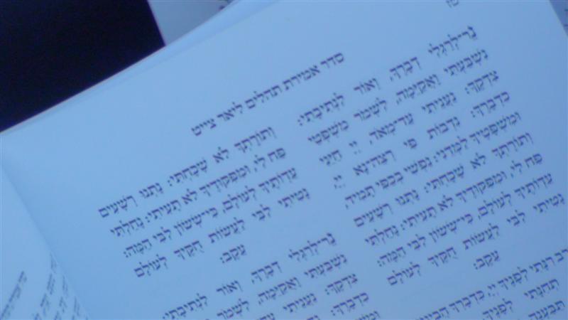 בניו, האדמו"רים, עלו לקבר בהר-הזיתים ● תיעוד מיוחד