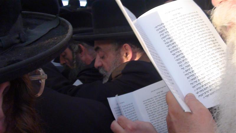 בניו, האדמו"רים, עלו לקבר בהר-הזיתים ● תיעוד מיוחד