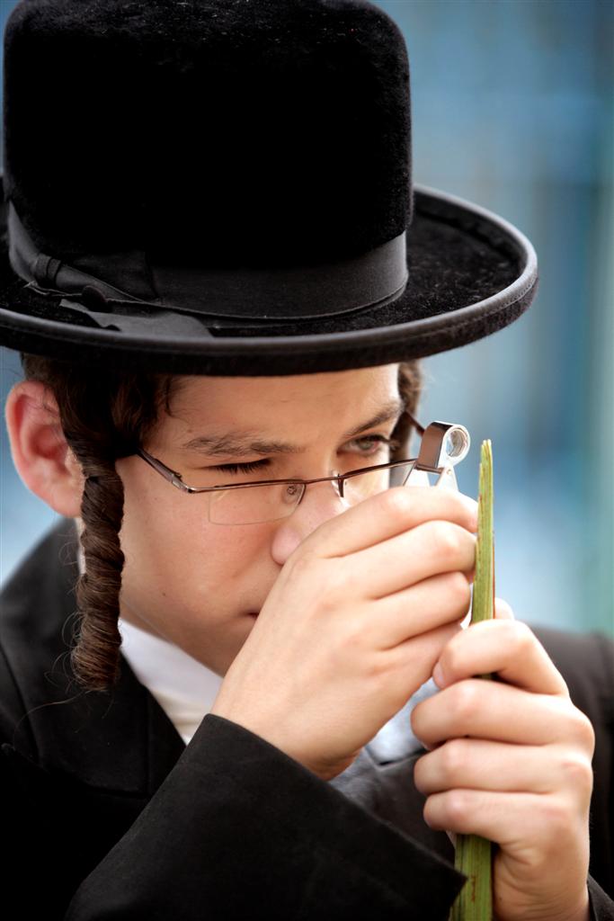 מאה שערים מתכוננת לסוכות