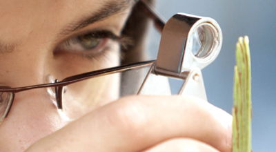 מאה שערים מתכוננת לסוכות