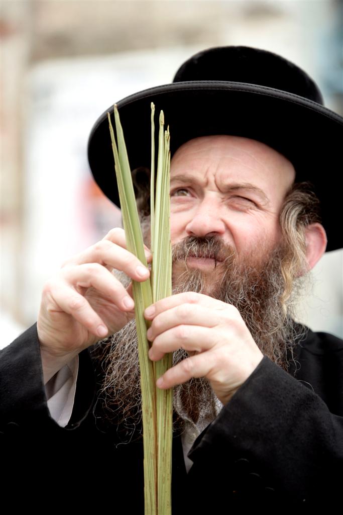 מאה שערים מתכוננת לסוכות