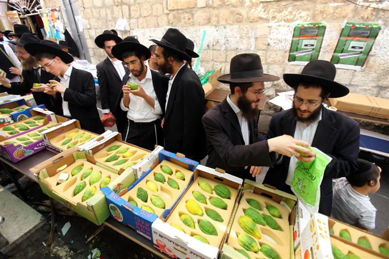 מאה שערים מתכוננת לסוכות